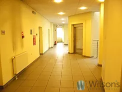 WIL756585 - zdjęcie nr 0