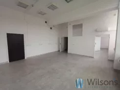 WIL555332 - zdjęcie nr 0