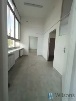 WIL555332 - zdjęcie nr 1