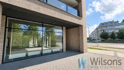 WIL106830 - zdjęcie nr 2