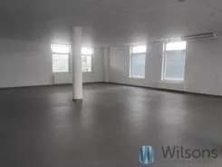 WIL555870 - zdjęcie nr 2