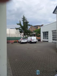 WIL423167 - zdjęcie nr 4