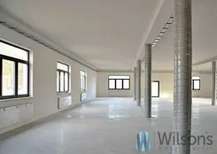 WIL951783 - zdjęcie nr 1