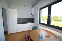 WIL350030 - zdjęcie nr 3