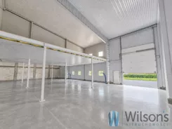 WIL230602 - zdjęcie nr 3