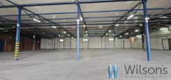 WIL255655 - zdjęcie nr 1
