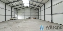 WIL159271653 - zdjęcie nr 3