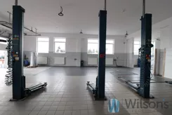 WIL870408 - zdjęcie nr 0