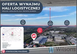 WIL855957 - zdjęcie nr 1