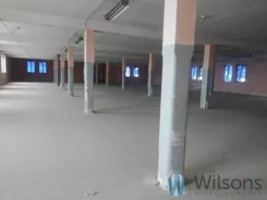WIL263045 - zdjęcie nr 2