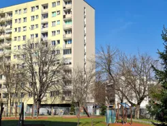 WIL241741 - zdjęcie nr 1