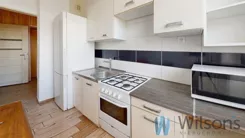 WIL241741 - zdjęcie nr 3