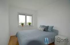 WIL376830 - zdjęcie nr 1