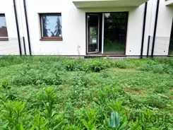 WIL863485 - zdjęcie nr 4