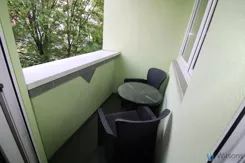 WIL749963 - zdjęcie nr 1