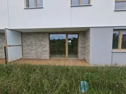 WIL924000 - zdjęcie nr 3