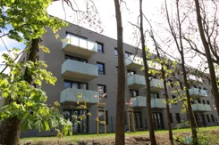 WIL284040290 - zdjęcie nr 1