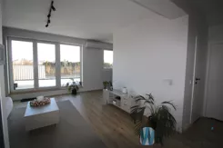 WIL434129801 - zdjęcie nr 4