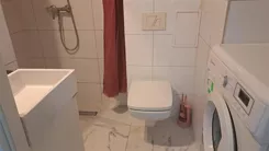 IF04387 - zdjęcie nr 1