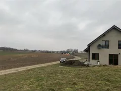 LS2594 - zdjęcie nr 4