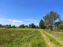 LS2909 - zdjęcie nr 3