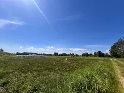 LS2909 - zdjęcie nr 4