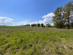 2607 - zdjęcie nr 0