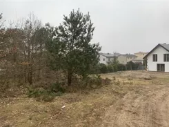 2527 - zdjęcie nr 1