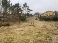 2527 - zdjęcie nr 3