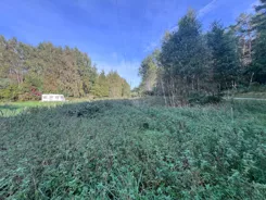 ls0235 - zdjęcie nr 2