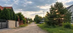 26211 - zdjęcie nr 0