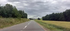 26211 - zdjęcie nr 3