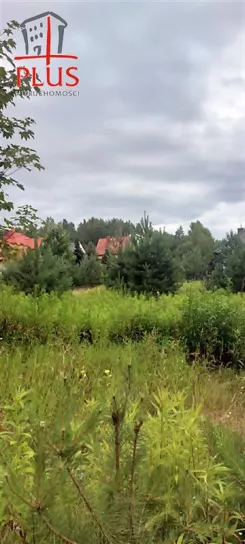 LS02621 - zdjęcie nr 3