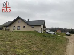 LS02594 - zdjęcie nr 1