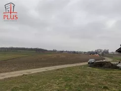 LS02594 - zdjęcie nr 3