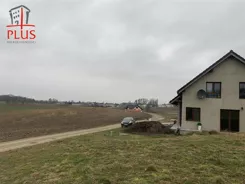 LS02594 - zdjęcie nr 4