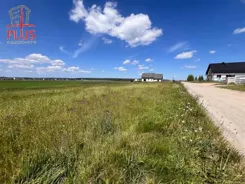 LS02612 - zdjęcie nr 2