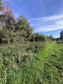 LS02635 - zdjęcie nr 0