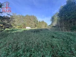 LS02635 - zdjęcie nr 1