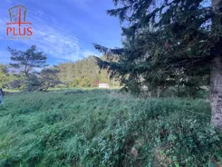 LS02635 - zdjęcie nr 4