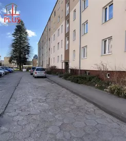 LS02599 - zdjęcie nr 2
