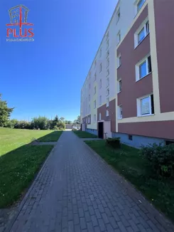 LS02617 - zdjęcie nr 0