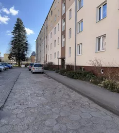 LS2599 - zdjęcie nr 2