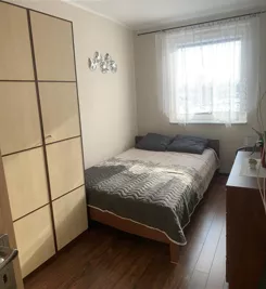 lsWynajem - zdjęcie nr 1