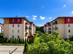 252525 - zdjęcie nr 3