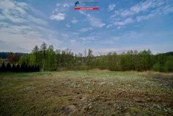 FZL-DS-199622 - zdjęcie nr 4