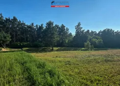 FRC-GS-199703 - zdjęcie nr 0