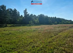 FRC-GS-199703 - zdjęcie nr 1
