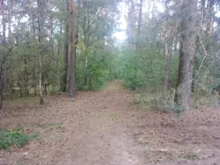 3178 - zdjęcie nr 2