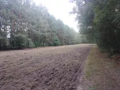 3178 - zdjęcie nr 3